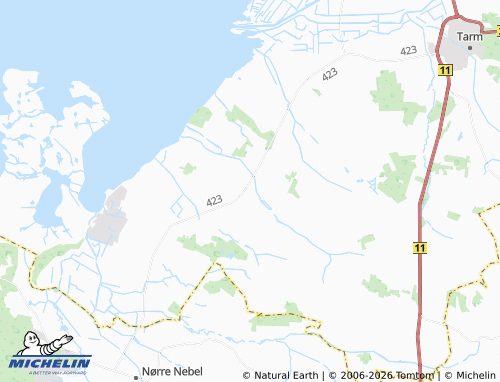 Mappa MICHELIN Hemmet - ViaMichelin
