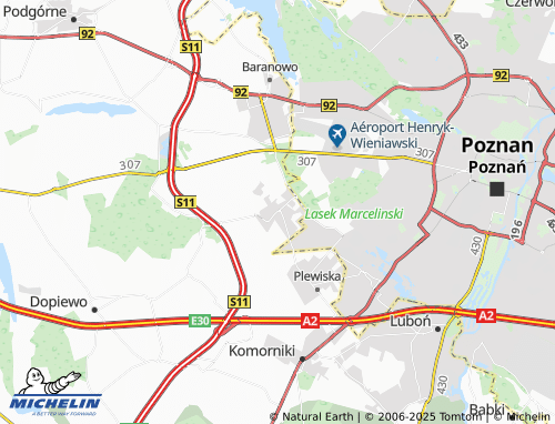 MICHELIN Skórzewo map - ViaMichelin