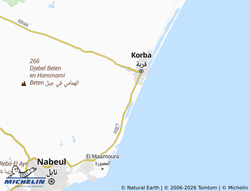 MICHELIN Tazarkah map - ViaMichelin