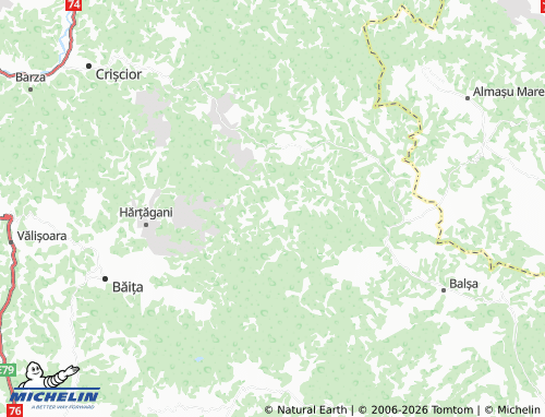 MICHELIN Vălișoara map - ViaMichelin