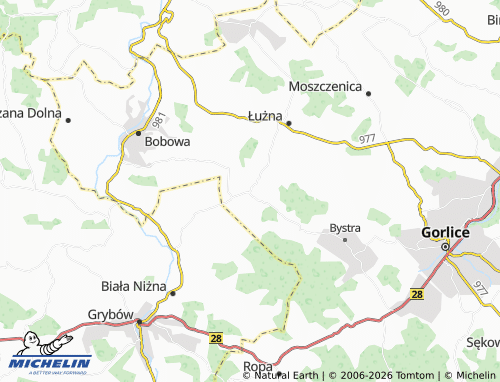 MICHELIN Szalowa map - ViaMichelin