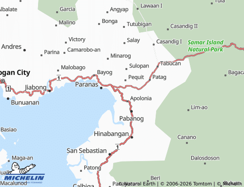 MICHELIN Pagsa-ogan map - ViaMichelin