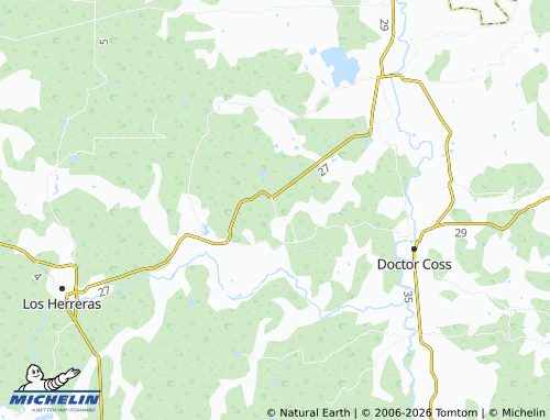 MICHELIN Buena Vista map - ViaMichelin