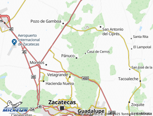MICHELIN Pánuco map - ViaMichelin