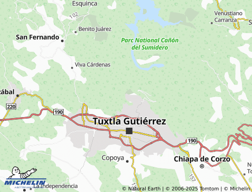 MICHELIN La Fortuna map - ViaMichelin