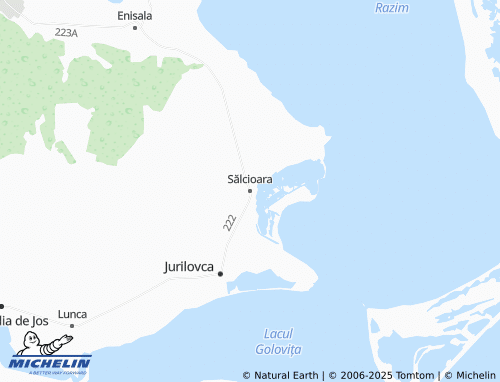 MICHELIN Sălcioara map - ViaMichelin
