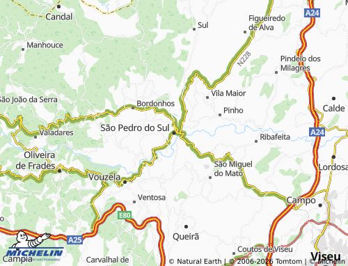 MICHELIN São Pedro do Sul map - ViaMichelin