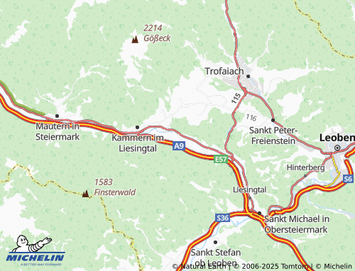 MICHELIN Liesing map - ViaMichelin