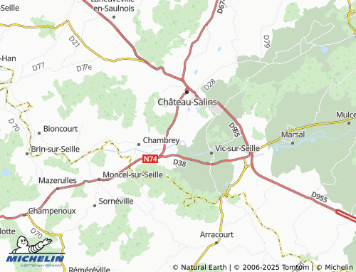 Mappa MICHELIN Salonnes - ViaMichelin