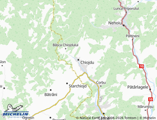 MICHELIN Chiojdu map - ViaMichelin