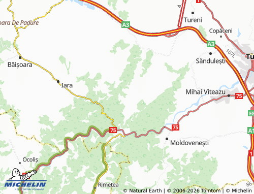 MICHELIN-Landkarte Borzești - ViaMichelin