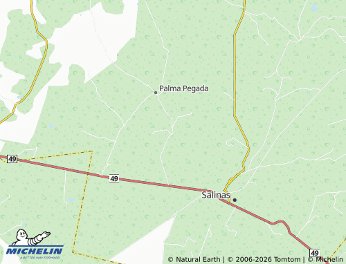 Carte MICHELIN Salitrillo - ViaMichelin