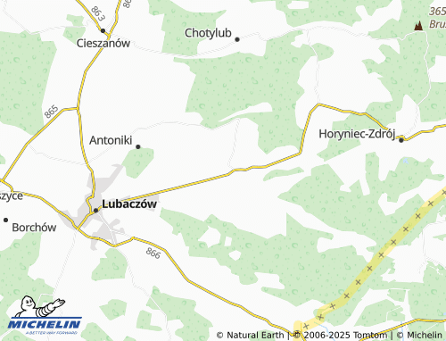 MICHELIN Basznia Dolna map - ViaMichelin