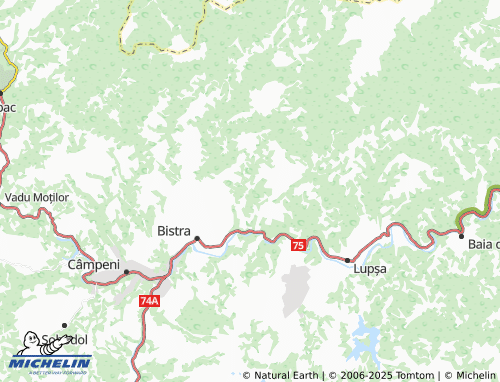 MICHELIN Nămaș map - ViaMichelin