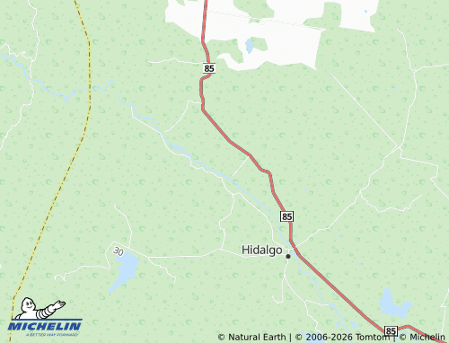 MICHELIN San Antonio map - ViaMichelin