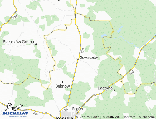 Carte MICHELIN Gowarczów - ViaMichelin