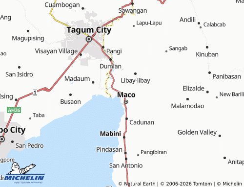 MICHELIN Binuangan map - ViaMichelin