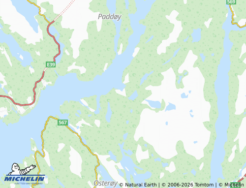 MICHELIN-Landkarte Tysso - ViaMichelin