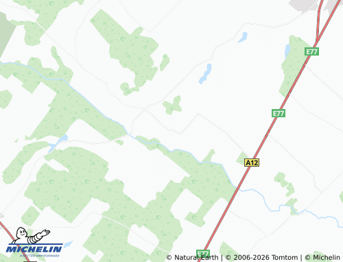 MICHELIN Rudiškiai map - ViaMichelin