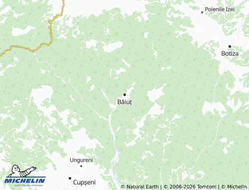 MICHELIN Băiuț map - ViaMichelin