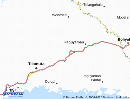 MICHELIN Huwongo map - ViaMichelin