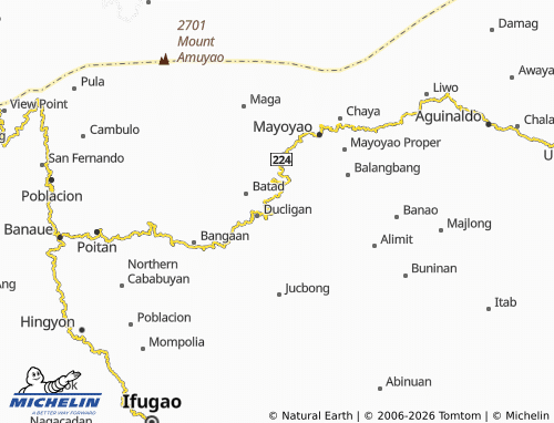 Mappa MICHELIN Palaad - ViaMichelin