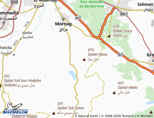 Mappa MICHELIN Ghaseel Bilsha'ih - ViaMichelin