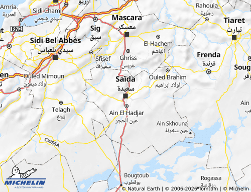 Carte MICHELIN Saïda - ViaMichelin