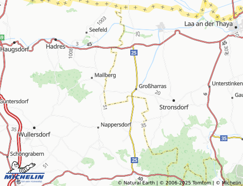MICHELIN Diepolz map - ViaMichelin