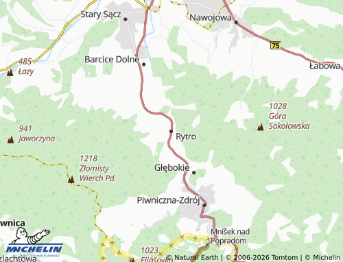 MICHELIN Rytro map - ViaMichelin