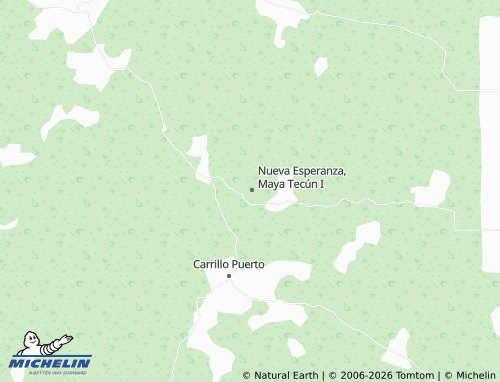 Mappa MICHELIN Concepción - ViaMichelin