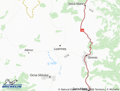Mapa MICHELIN Loamneș - ViaMichelin