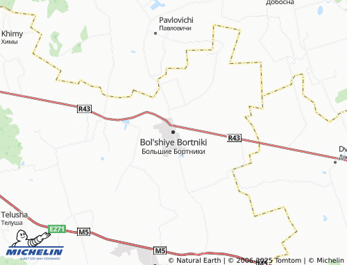 Carte MICHELIN Bol'shiye Bortniki - ViaMichelin