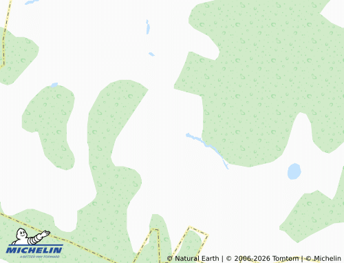MICHELIN-Landkarte Borovlyanskoye - ViaMichelin