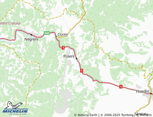 MICHELIN Poieni map - ViaMichelin