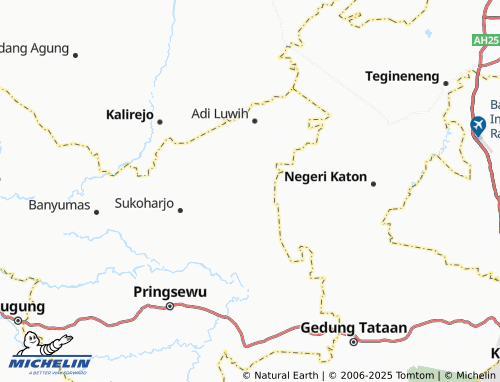 MICHELIN Purwodadi map - ViaMichelin