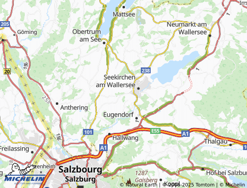 Mappa MICHELIN Mayerlehen - ViaMichelin