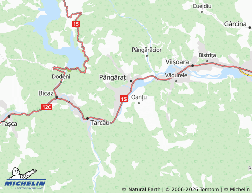 Mappa MICHELIN Stejaru - ViaMichelin