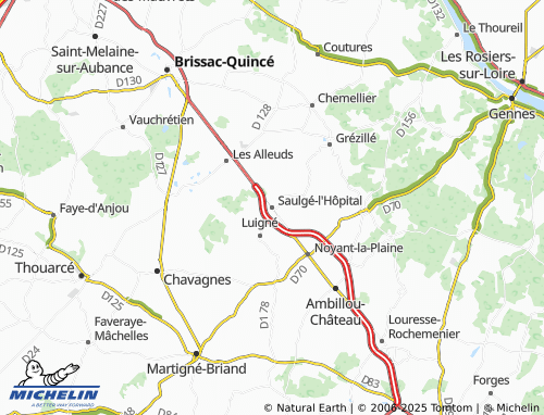 MICHELIN Saulgé-l'Hôpital map - ViaMichelin