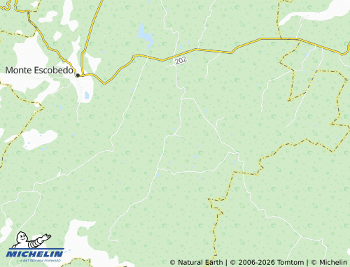 Mappa MICHELIN El Salvador - ViaMichelin