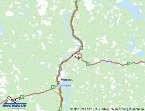 MICHELIN Evje map - ViaMichelin