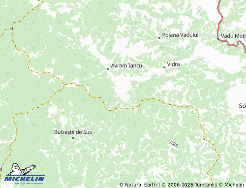 MICHELIN Vidrișoara map - ViaMichelin