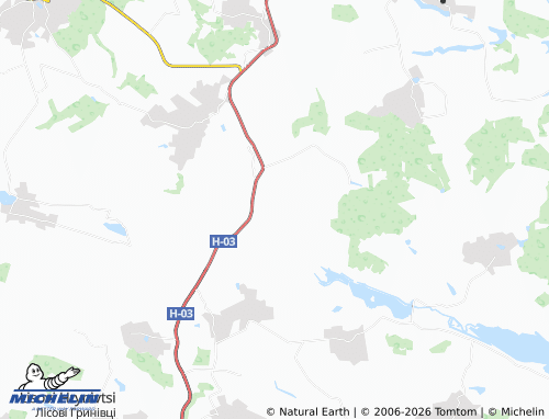 Carte MICHELIN Pashutyntsi - ViaMichelin