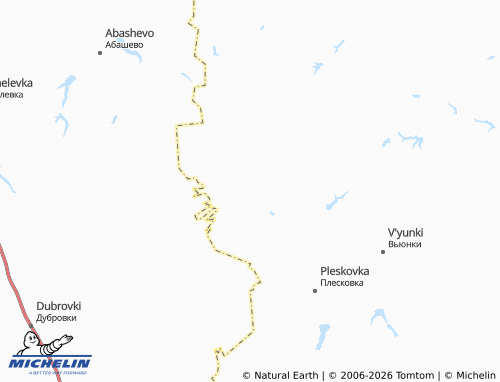 MICHELIN-Landkarte Savinki - ViaMichelin