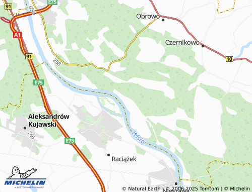 MICHELIN Łęk-Osiek map - ViaMichelin