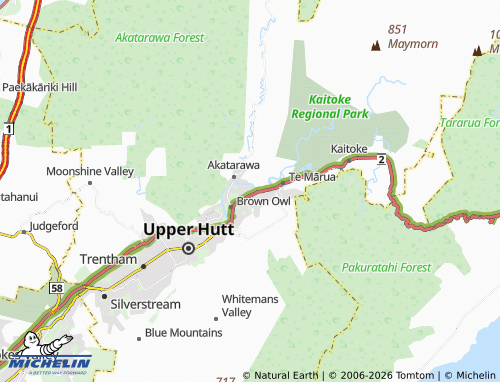Mapa MICHELIN Birchville - ViaMichelin