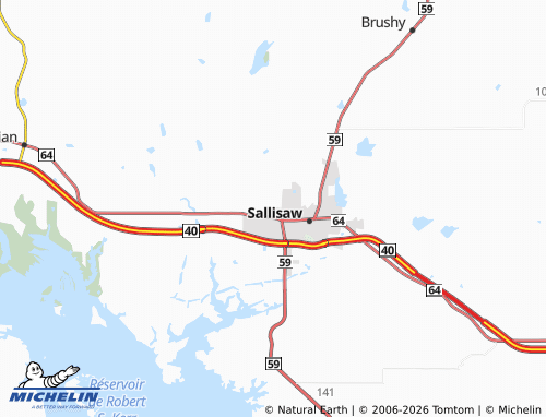 Mappa MICHELIN Badger Lee - ViaMichelin