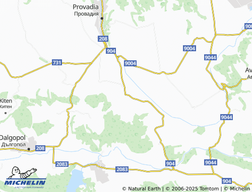 MICHELIN Bozveliysko map - ViaMichelin