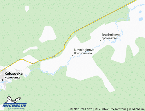 Carte MICHELIN Novologinovo - ViaMichelin