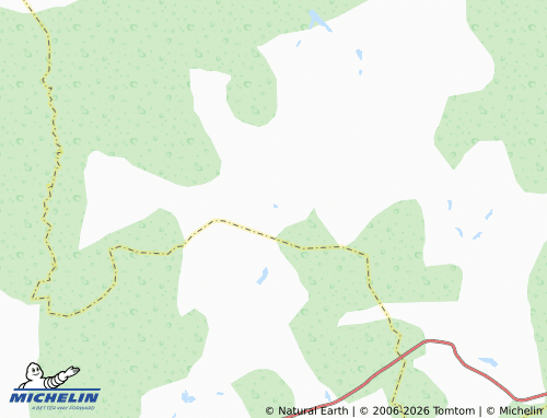 MICHELIN-Landkarte Gorodishche - ViaMichelin